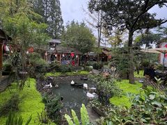 -青城甲(青城山店)