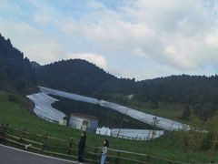 -武陵山森林公园