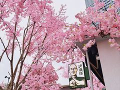 -首开·龙湖成都西宸天街
