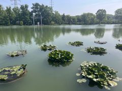 -南京珍珠泉风景区