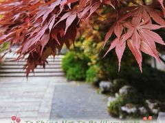 -惠山古镇·寄畅园