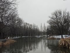 -洛阳市隋唐城遗址植物园