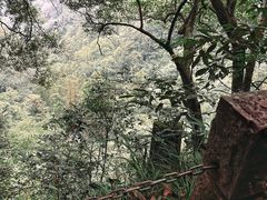 -青城山