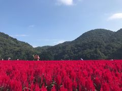 -广州市石门国家森林公园