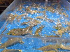 -徐记海鲜(大雁塔|金都店)