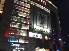 -乐天免税店(明洞店)