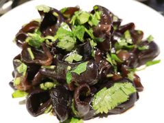 -蝶园·装修中(BFC外滩金融中心店)