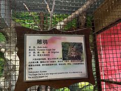 -上海大自然野生昆虫馆(东方明珠·爬宠昆虫探索中心)