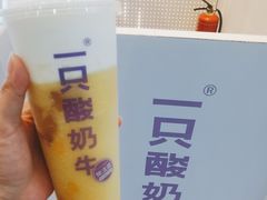 -一只酸奶牛(八一路店)