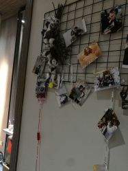-扎嘎形象设计
