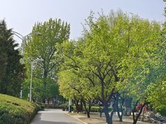-二一九公园