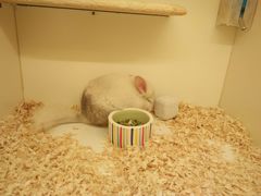 -龙猫仔乐园(惠福东路店)