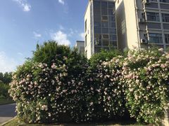-江南大学(蠡湖校区)