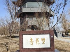-盐城丹顶鹤湿地生态旅游区