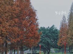 -眉山湿地公园(东坡区)