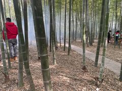 -龙寺生态园