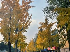 -四川大学(望江校区)
