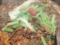 -老板恋上鱼(恒隆广场店)