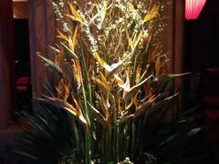 -花马天堂云南餐厅 Lost Heaven(高邮路店)
