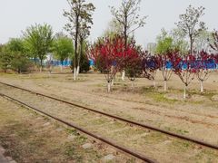 -永定河休闲森林公园