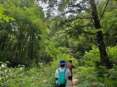 -素山寺森林公园