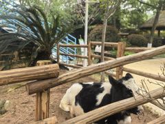 -海兰云天度假区温泉