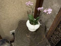 -华夏良子·足道SPA艾灸(山东大厦店)