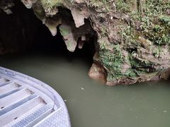 -怀托摩萤火虫洞