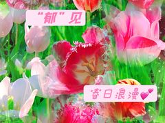 -国家植物园