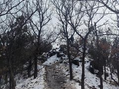 -大觉寺-停车场