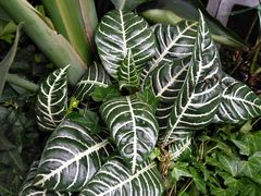 -徐家汇源景区-衡山坊