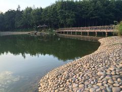 象山-象山森林公园