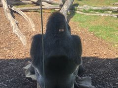 -威勒比开放式动物园