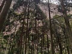 -雁荡山风景名胜区