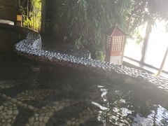-陆地游轮吉林神农温泉