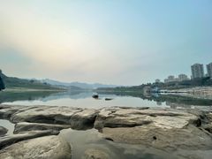 -金海湾滨江公园