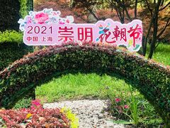 -东平国家森林公园