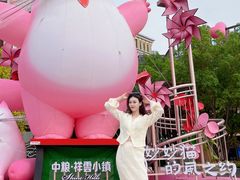 -中粮·祥云小镇
