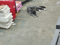 -华威西营里农产品批发市场
