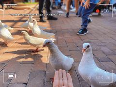 -王府井奥莱临潼小镇(临潼店)