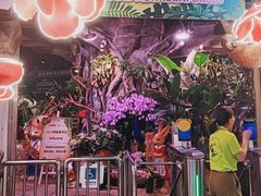 -正佳雨林生态植物园