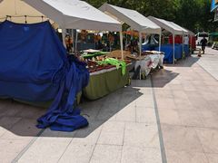 -证大大拇指广场(芳甸路店)