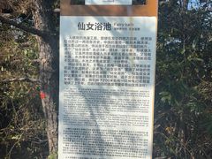 -玉苍山国家森林公园
