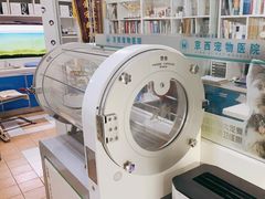 -西安京西宠物医院·瘫痪·疑难杂症