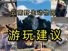 -云南野生动物园