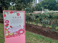 -人民公园(罗湖区)