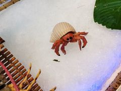 -集品鲜湾·蒸汽海鲜自助料理(青岛银座和谐广场店)