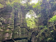 -梭布垭石林景区