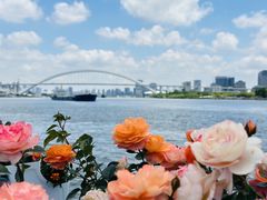 -顺峰顺水顺德菜(龙华店)