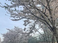 -自然博物馆(地铁站)